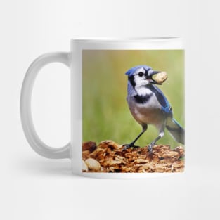 Blue Jay Mug